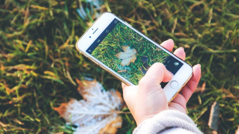 How to Take Better Photos & Videos With Your iPhone