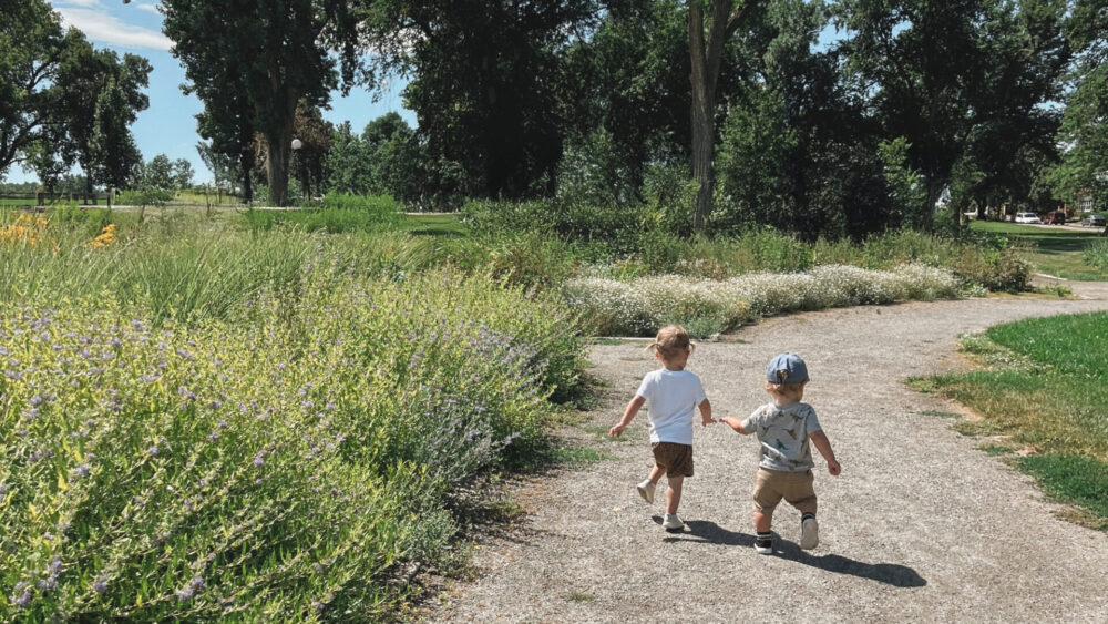 Preserving Summer Memories